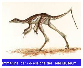 dinosauri in Cina