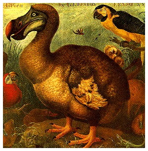 Le origini del Dodo