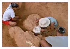 Il fossile di roditore pių antico