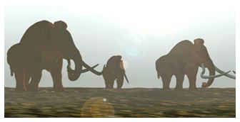 estinzione animale