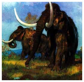 Mammut lanoso