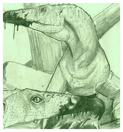 Sviluppo dell'Archosaurs