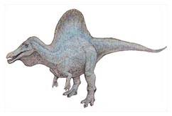 Spinosaurus Aegyptiacus, il dinosauro carnivoro pių grande Spinosaurus Aegyptiacus, il dinosauro carnivoro pių grande