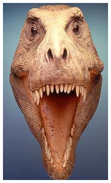 Tyrannosaurus - Tiranosauro