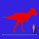 Immagini dinosauri: dimensioni Albertosaurus