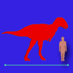 Immagini dinosauri: dimensioni Alioramus