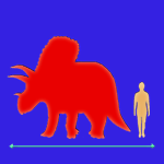 Immagini dinosauri: dimensioni Anchiceratops