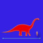 Immagini dinosauri: dimensioni Barapasaurus