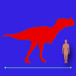 Immagini dinosauri: dimensioni Ceratosauro