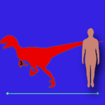 Immagini dinosauri: dimensioni Deinonychus