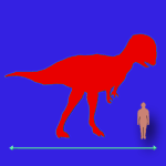Immagini dinosauri: dimensioni Dilophosaurus