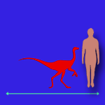 Immagini dinosauri: dimensioni Dromaeosaurus