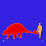 Immagini dinosauri: dimensioni Euoplocephalus