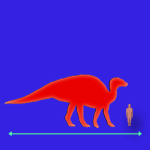 Immagini dinosauri: dimensioni Iguanodon