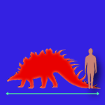 Immagini dinosauri: dimensioni Kentrosaurus