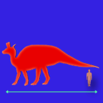 Immagini dinosauri: dimensioni Lambeosaurus