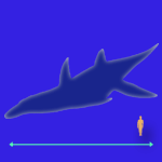 Immagini dinosauri: dimensioni Liopleurodon