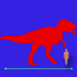 Immagini dinosauri: dimensioni Megalosaurus