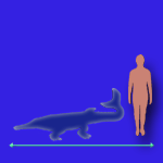 Immagini dinosauri: dimensioni Metriorhynchus