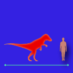Immagini dinosauri: dimensioni Ornithosuchus