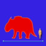 Immagini dinosauri: dimensioni Pachyrhinosaurus