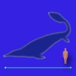 Immagini dinosauri: dimensioni Plotosaurus