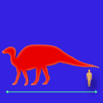 Immagini dinosauri: dimensioni Prosaurolophus