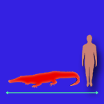 Immagini dinosauri: dimensioni Rutiodon
