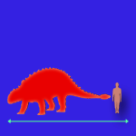Immagini dinosauri: dimensioni Saichania