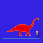 Immagini dinosauri: dimensioni Saltasaurus