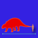 Immagini dinosauri: dimensioni Sauropelta