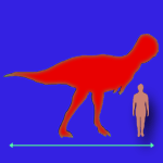 Immagini dinosauri: dimensioni Siamotyrannus