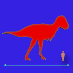 Immagini dinosauri: dimensioni Tarbosaurus