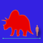 Immagini dinosauri: dimensioni Torosaurus