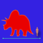 Immagini dinosauri: dimensioni Triceratops