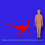 Immagini dinosauri: dimensioni Velociraptor