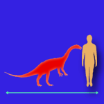 Immagini dinosauri: dimensioni Anchisaurus