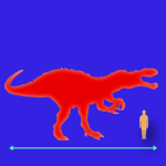 Immagini dinosauri: dimensioni Suchomimus