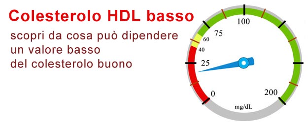 Colesterolo buono basso, da cosa dipende? Colesterolo HDL Basso
