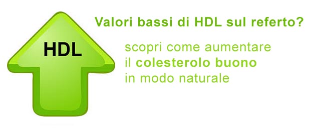 Scopri come aumentare il colesterolo buono Colesterolo hdl basso come aumentarlo