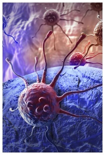 Immunoterapia oncologica per la cura dei tumori