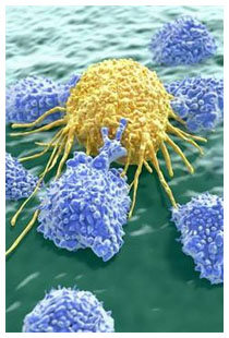 Proteina WRN previene le mutazioni cancerose Proteina WRN previene le mutazioni cancerose