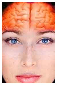anatomiche nel cervello e balbuzie anatomiche nel cervello e balbuzie