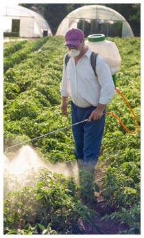 Cause Alzheimer: i pesticidi
