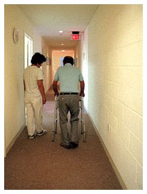 Alzheimer ed Etanercept: una nuova cura?