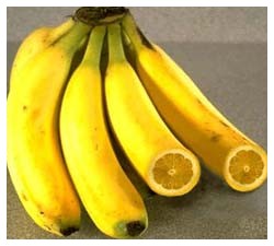 Banane di qualità 