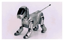 Robot Aibo