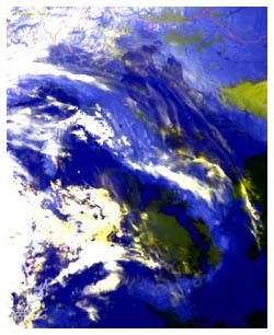 Clima e WWF