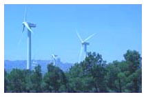 Energia pulita: cresce l'energia eolica