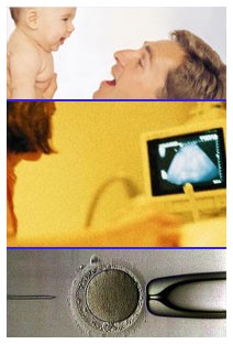Fecondazione assistita senza spermatozoi